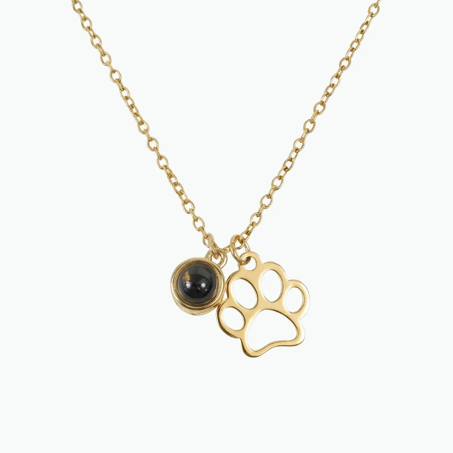 Forever Paw Projektionskette