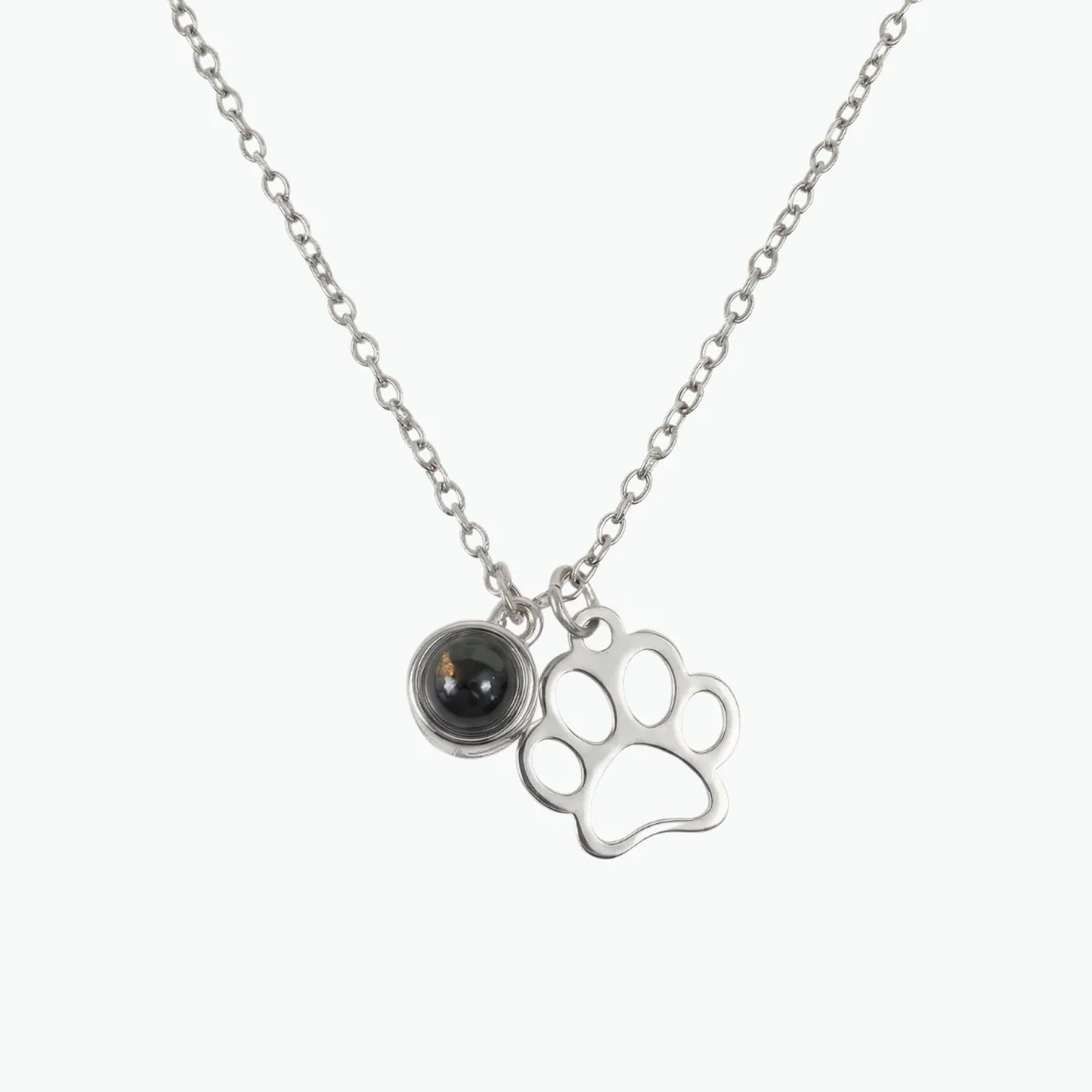 Forever Paw Projektionskette